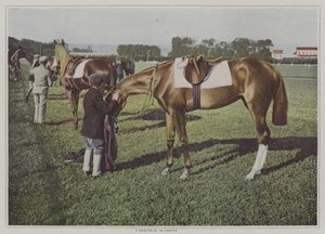 Racehorses at Deauville, France by French Photographer