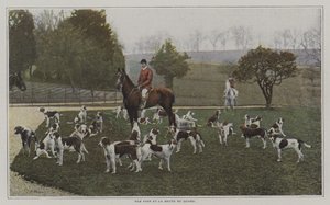 Tom Firr and the Hounds of the Quorn Hunt, Leicestershire by French Photographer