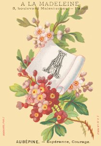 Aubepine - Esperance, Courage