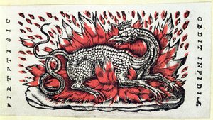A Salamander, 1st half 16th century by French School