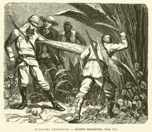 Across Australia (engraving) by French School