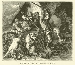 Across Australia (engraving) by French School