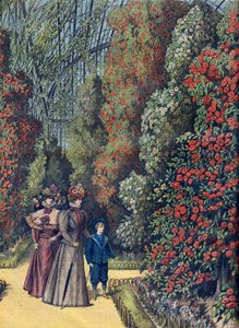 Camellia Greenhouse in a Botanical Garden by French School
