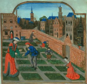 A walled town garden (from 