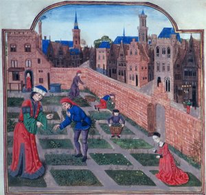 A walled herb garden in a town, from Livre des profits ruraux by Piero de Crescenzi of Bologna