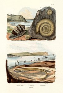 Admiral Cone, 1833-39