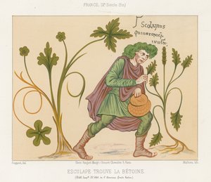 Aesculapius discovering betony by French School