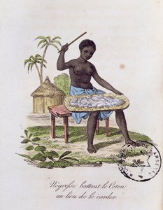 African Woman Beating Cotton