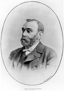 Alfred Bernhard Nobel by French School