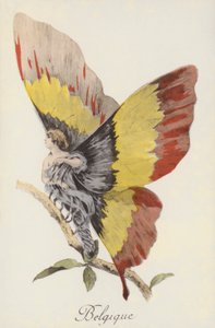 Allegorical Depiction of Belgium as a Butterfly