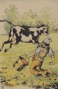An unsuccessful attempt to milk a cow