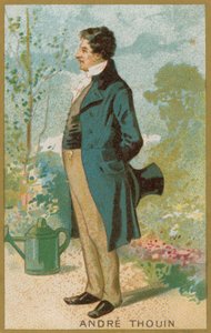 Andre Thouin by French School