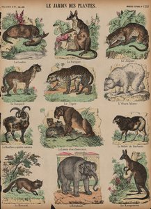 Animals at the Jardin des Plantes, Paris, France by French School