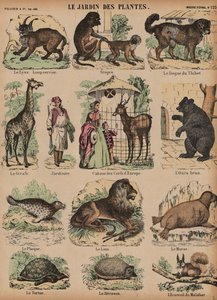 Animals of the Jardin des Plantes, Paris, France by French School