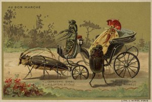 Au Bon Marche cards featuring anthropomorphic insects by French School