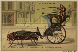 Au Bon Marche cards featuring anthropomorphic insects by French School