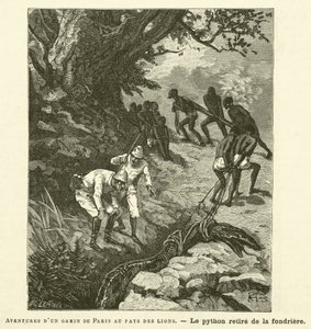 Adventures of a Parisian Kid in the Land of Lions (engraving) by French School