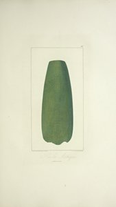 Aztec Axe, Illustration from 