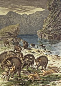 Battle between mammoths and sabre-toothed tigers, from Le Monde Avant la Creation d