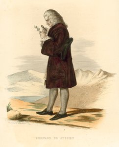 Bernard de Jussieu