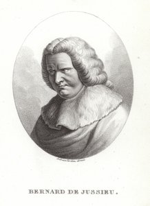 Bernard de Jussieu by French School