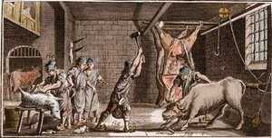 Boucher - Butchery - The Great Encyclopedie, ou Dictionnaire Raisonne des Sciences, des Arts et des Metiers by Denis Diderot and Jean d