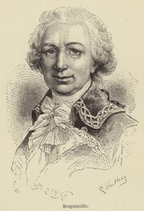 Bougainville (engraving) by French School