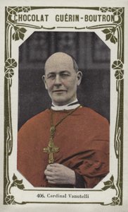 Cardinal Vanutelli by French School