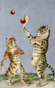 Cats playing tennis - postcard early 20th century