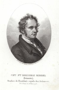 Charles-François Brisseau de Mirbel by French School