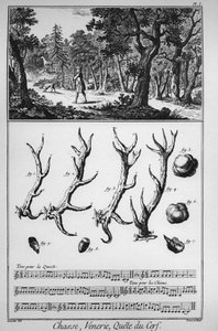 Chasse - la quete du deer - The Great Encyclopedie, ou Dictionnaire Raisonne des Sciences, des Arts et des Metiers (Encyclopedia or Dictionary of the Sciences, Arts and Professions) by Denis Diderot and Jean d