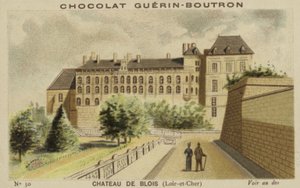 Chateau de Blois, Loir-et-Cher by French School