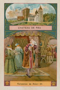 Chateau de Pau by French School