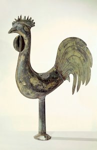 Cock