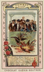 Cockfighting by French School