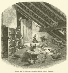 Dovecote of Mr. van Roosebeke, Interior of the Aviary (engraving) by French School