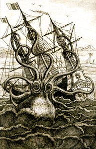Colossal Octopus