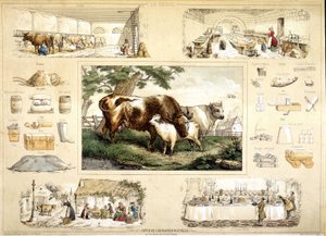 Cow and its products (milking, dairy) by French School