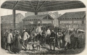Cree de la viande de boucherie au marche de la rue des Prouvaires dans le I arrondissement de Paris - Engraving in 