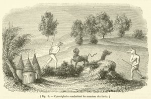 Cynocephali fighting forest monsters by French School
