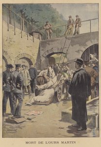 Death of Martin the polar bear
