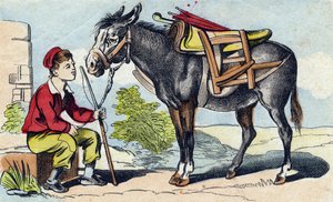 Donkey (Engraving in "Buffon Alphabet des Animaux")