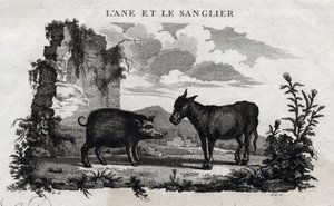 Donkey and Boar. Fable of Aesop. Written by Guillaume Montfort and engraved by Beauble in 1801. by French School