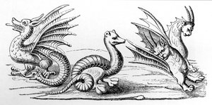 Dragons
