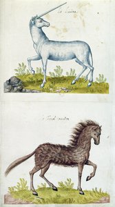 Drawings of a unicorn and a wild horse by French School