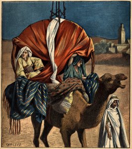 Dromedary Uses as a Means of Transport by French School