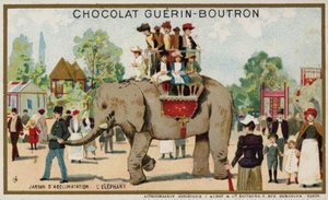 Elephant, Jardin d