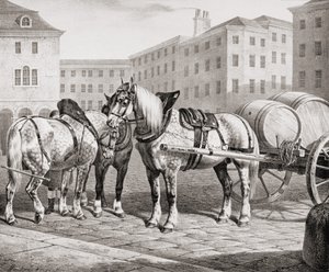 English Farm Horses by French School