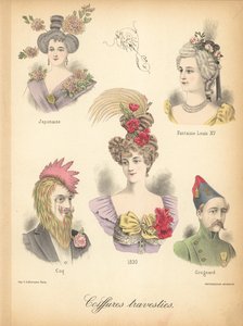 Extraordinary Hairstyles by French School