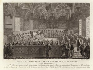 Extraordinary Session Held by Louis XVI at the Palace of Versailles